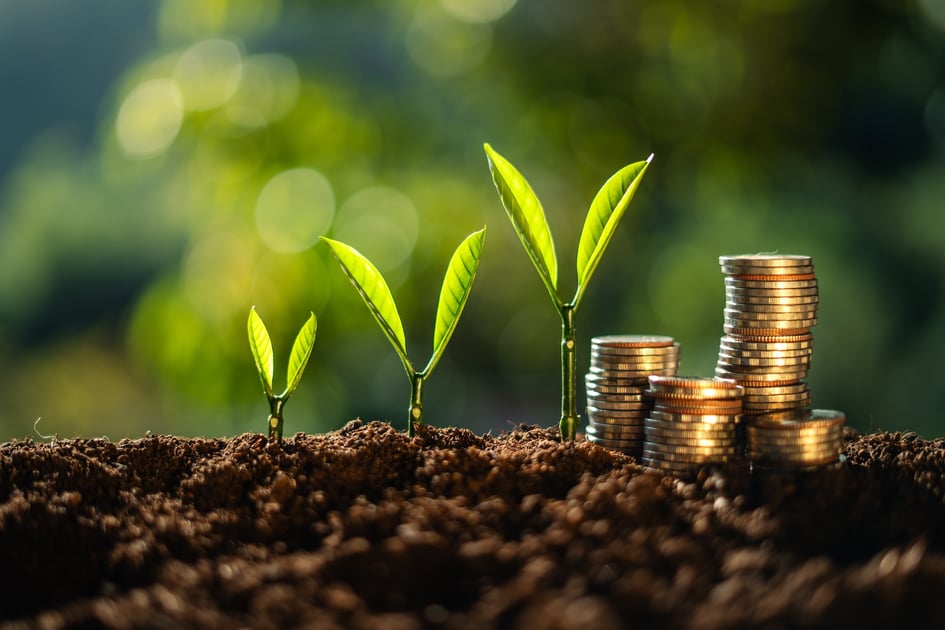 Real Estate Investing